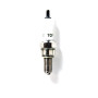 Gyújtógyertya TORCH /CR8E/