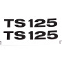 MATRICA DEKNIRE PÁR MZ TS-125
