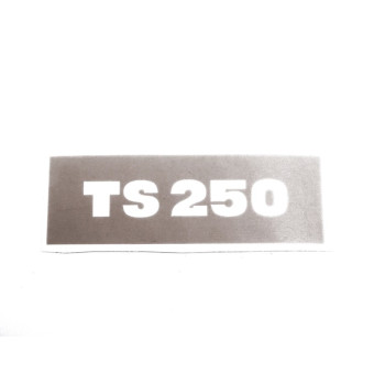 MATRICA ÜLÉS AJTÓRA "TS 250" /NEGATÍV/ MZ TS-250
